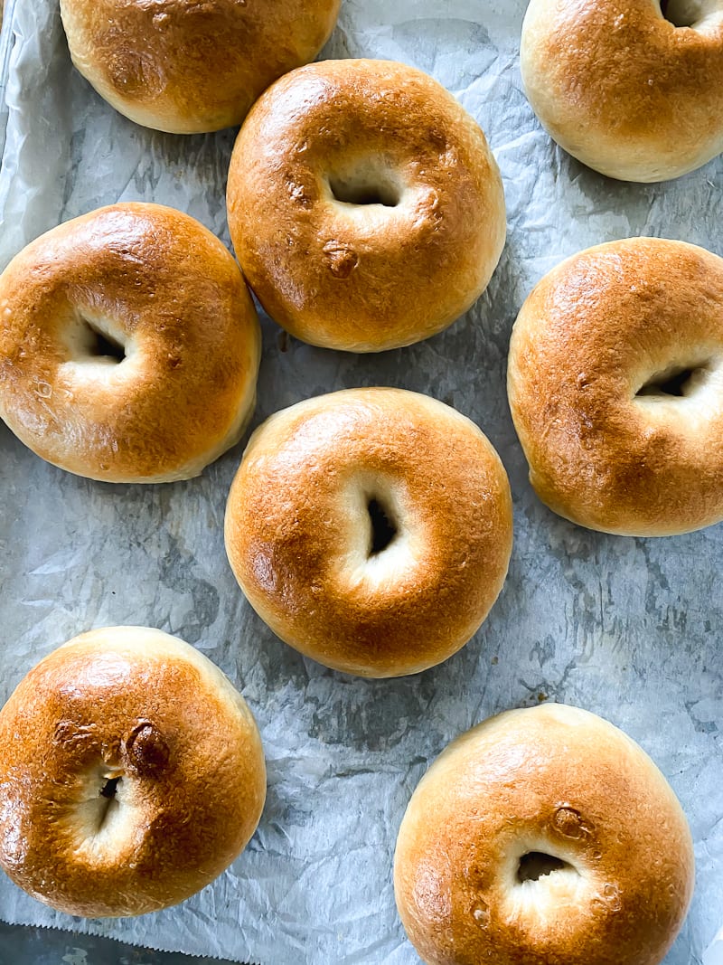 Sourdough Bagels